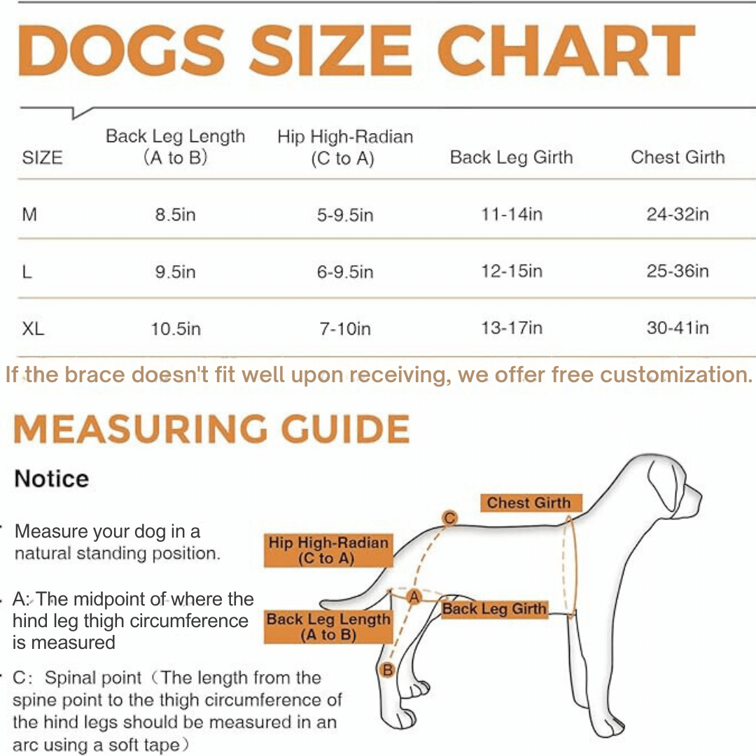 Knee Brace Harness for Dogs-Joint Pain & Mobility support