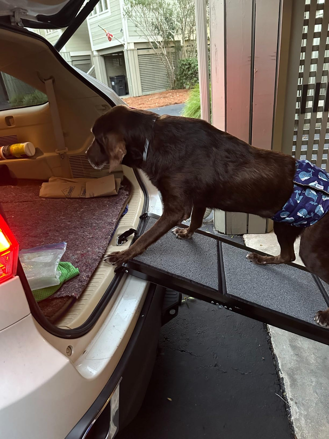 Senior Dog Outdoor Stairs: Low-Slope Design for Joint Protection