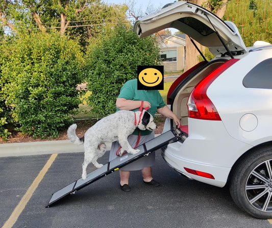 The Ultimate Guide to Training Your Pet for Travel Stairs