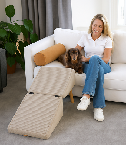 2-in-1 Convertible Wooden Home Step Stool Dog Ramp Stairs