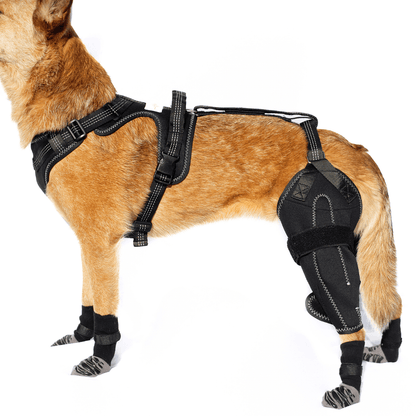 Knee Brace Harness for Dogs-Joint Pain & Mobility support