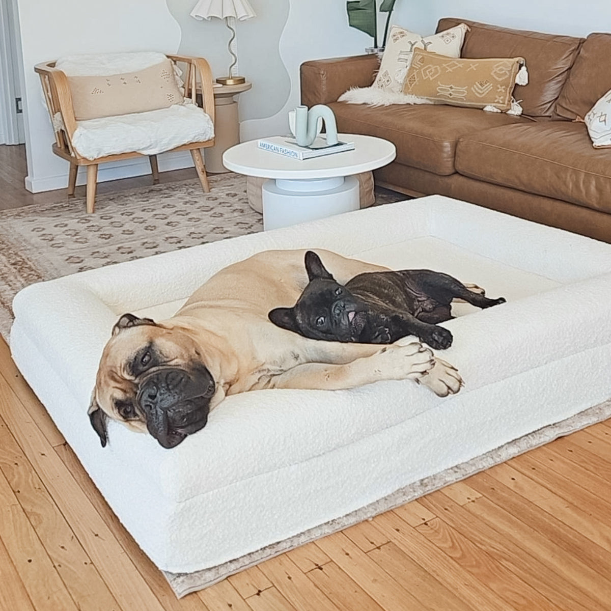 Dog Bed Boucle'