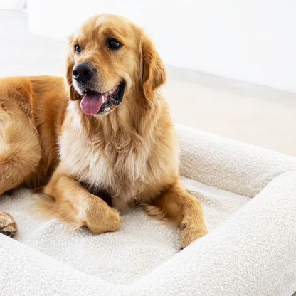Dog Bed Boucle'
