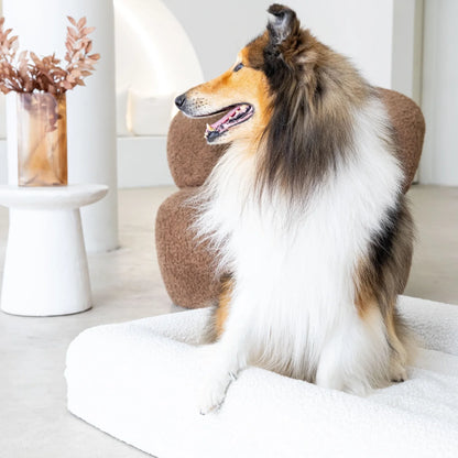 Dog Bed Boucle'