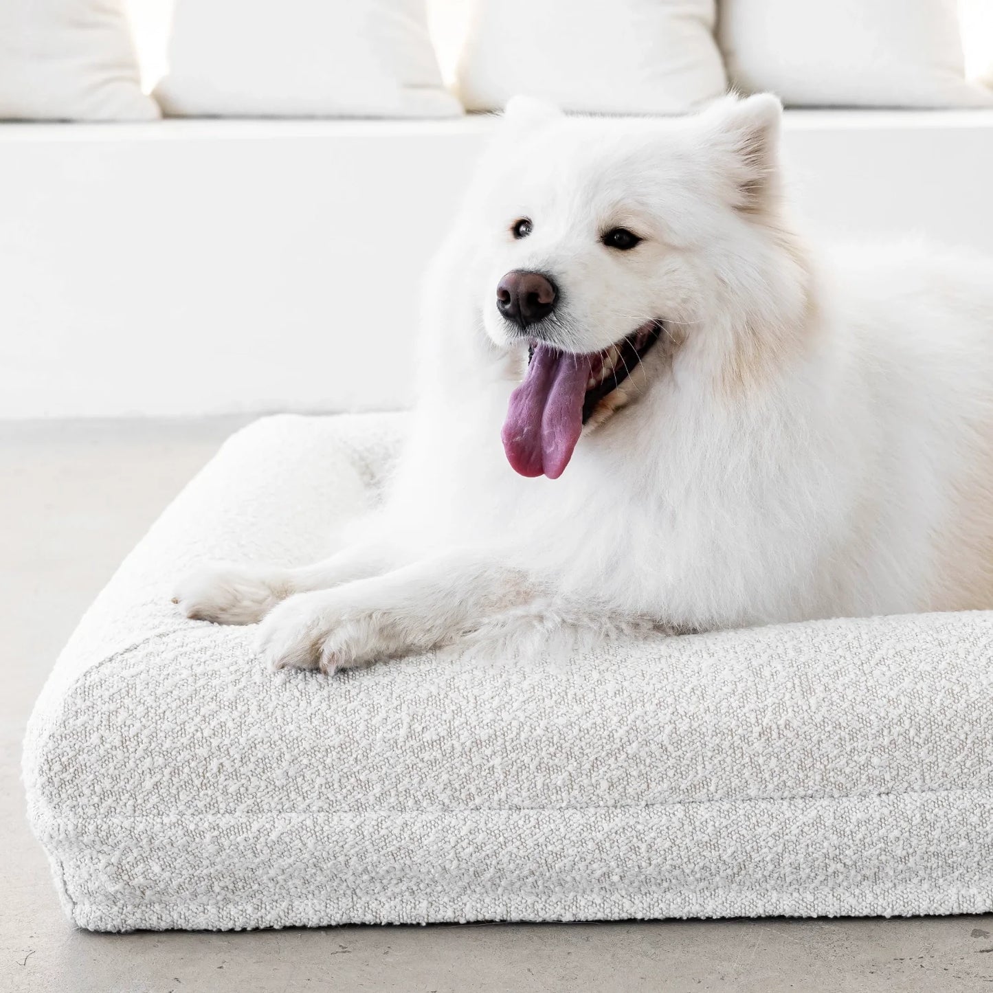 Dog Bed Boucle'