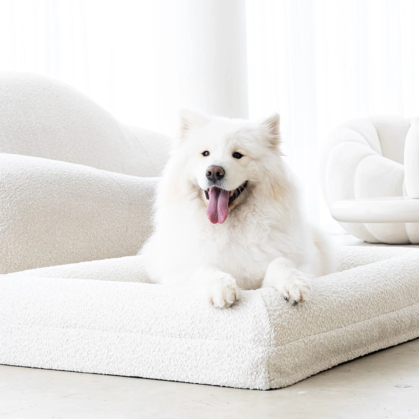 Dog Bed Boucle'