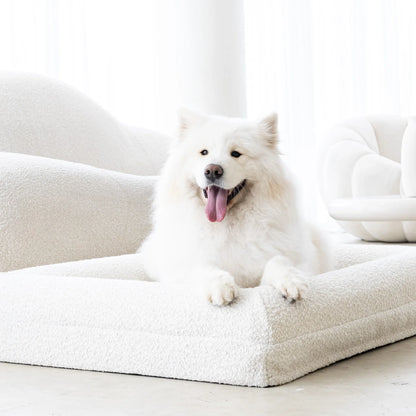 Dog Bed Boucle'