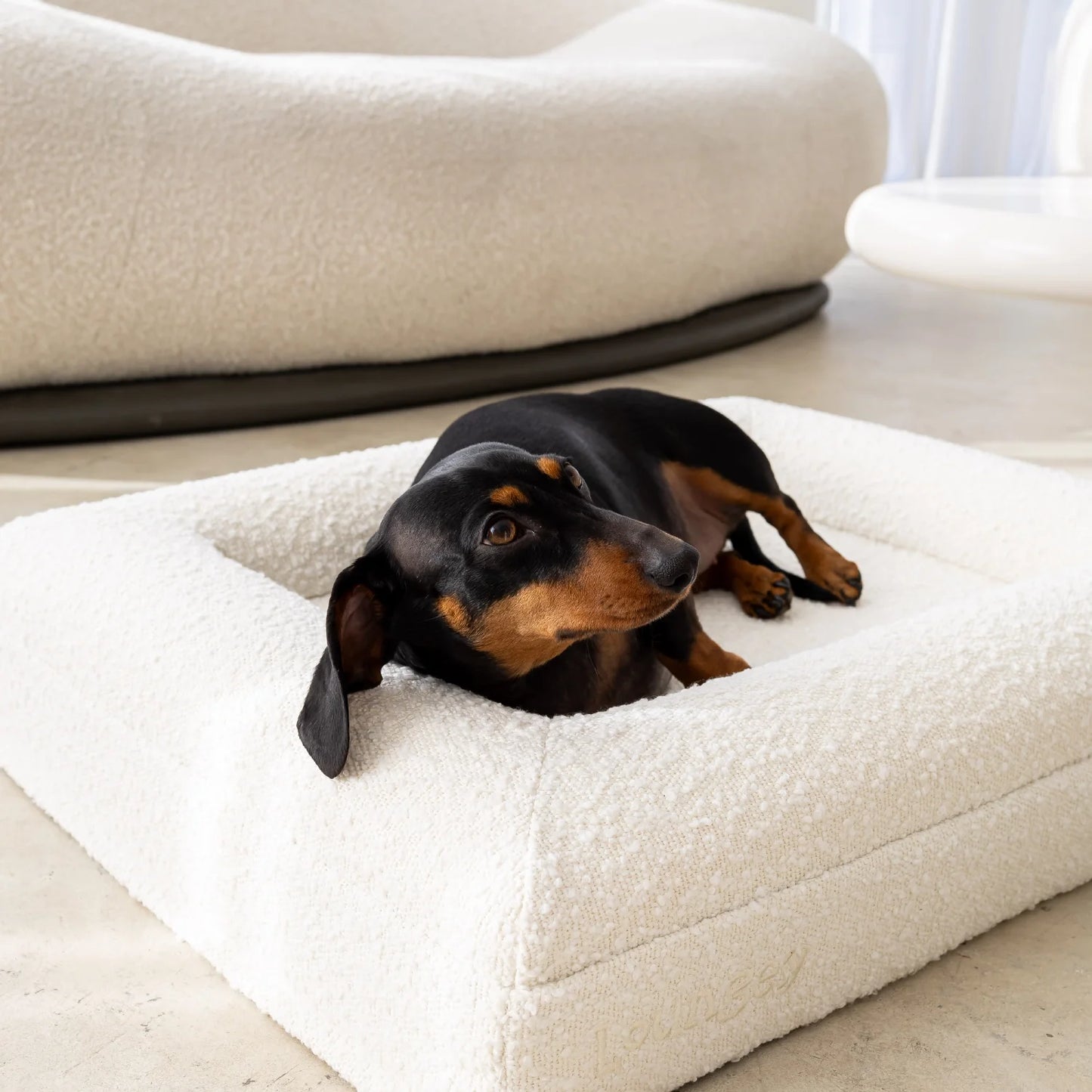 Dog Bed Boucle'