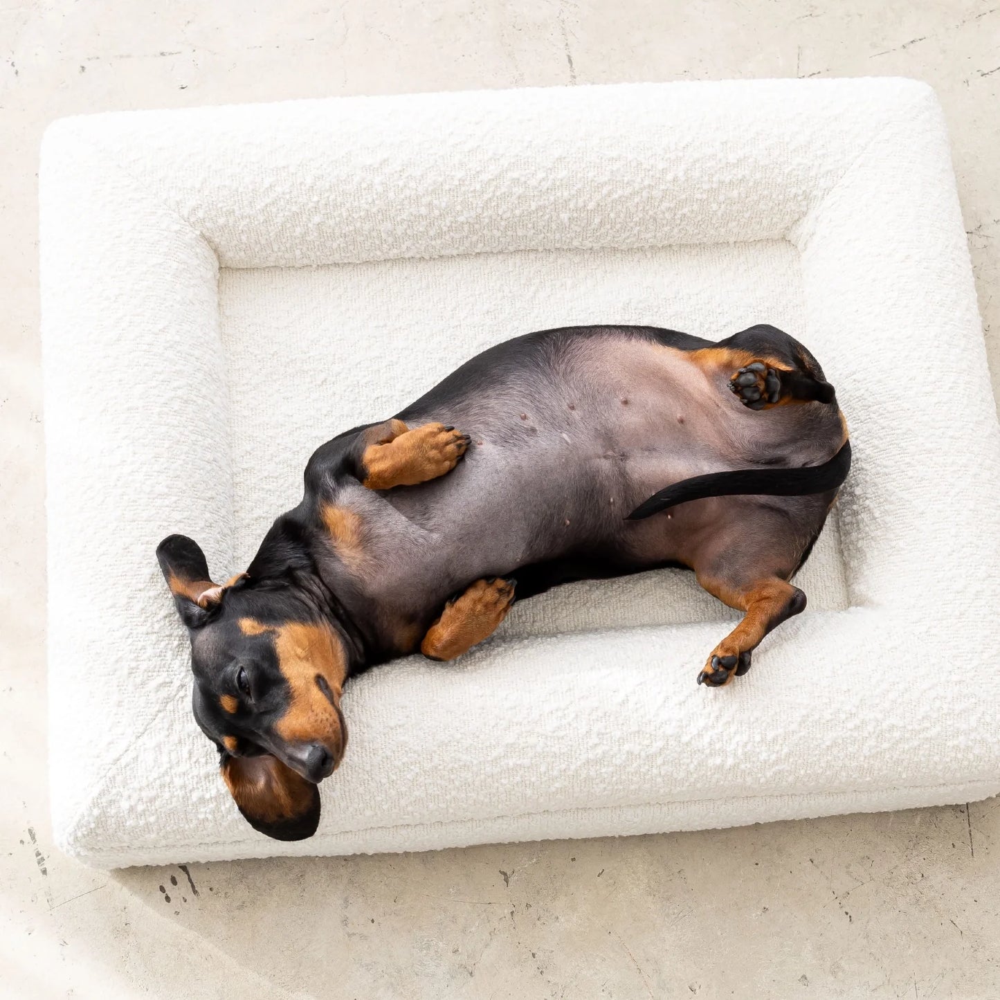 Dog Bed Boucle'
