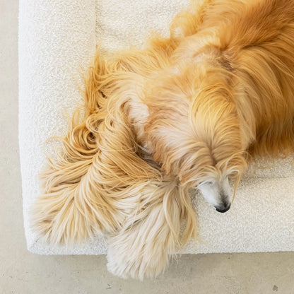 Dog Bed Boucle'