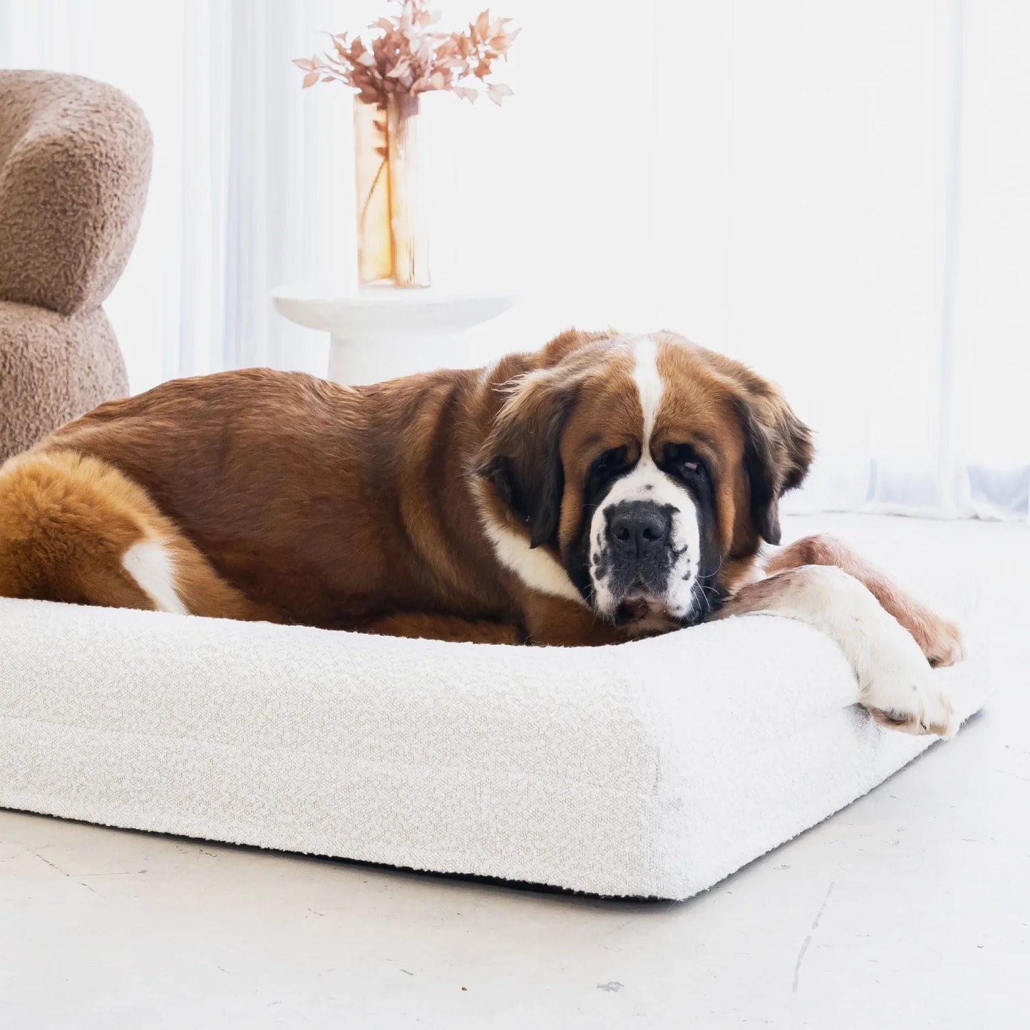 Dog Bed Boucle'