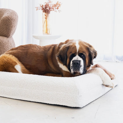 Dog Bed Boucle'