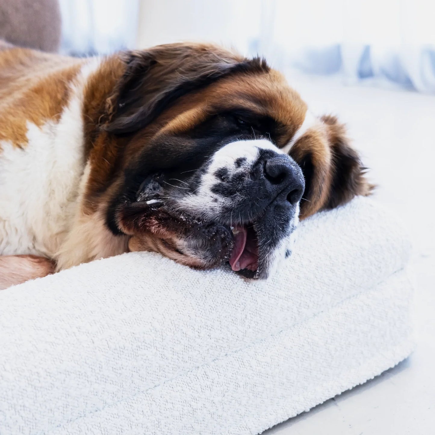 Dog Bed Boucle'