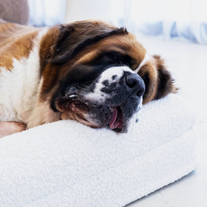 Dog Bed Boucle'