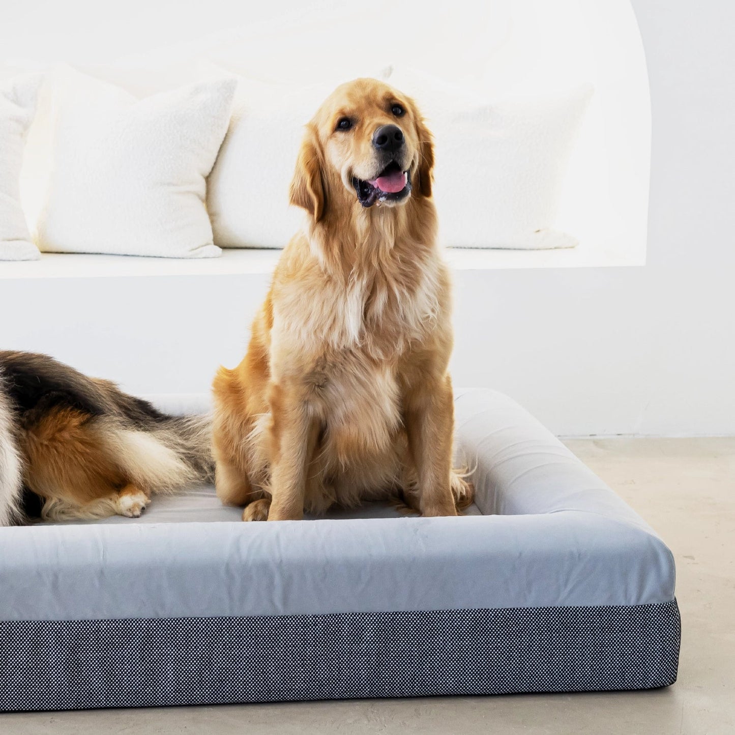 Dog Bed Microsuede & Linen