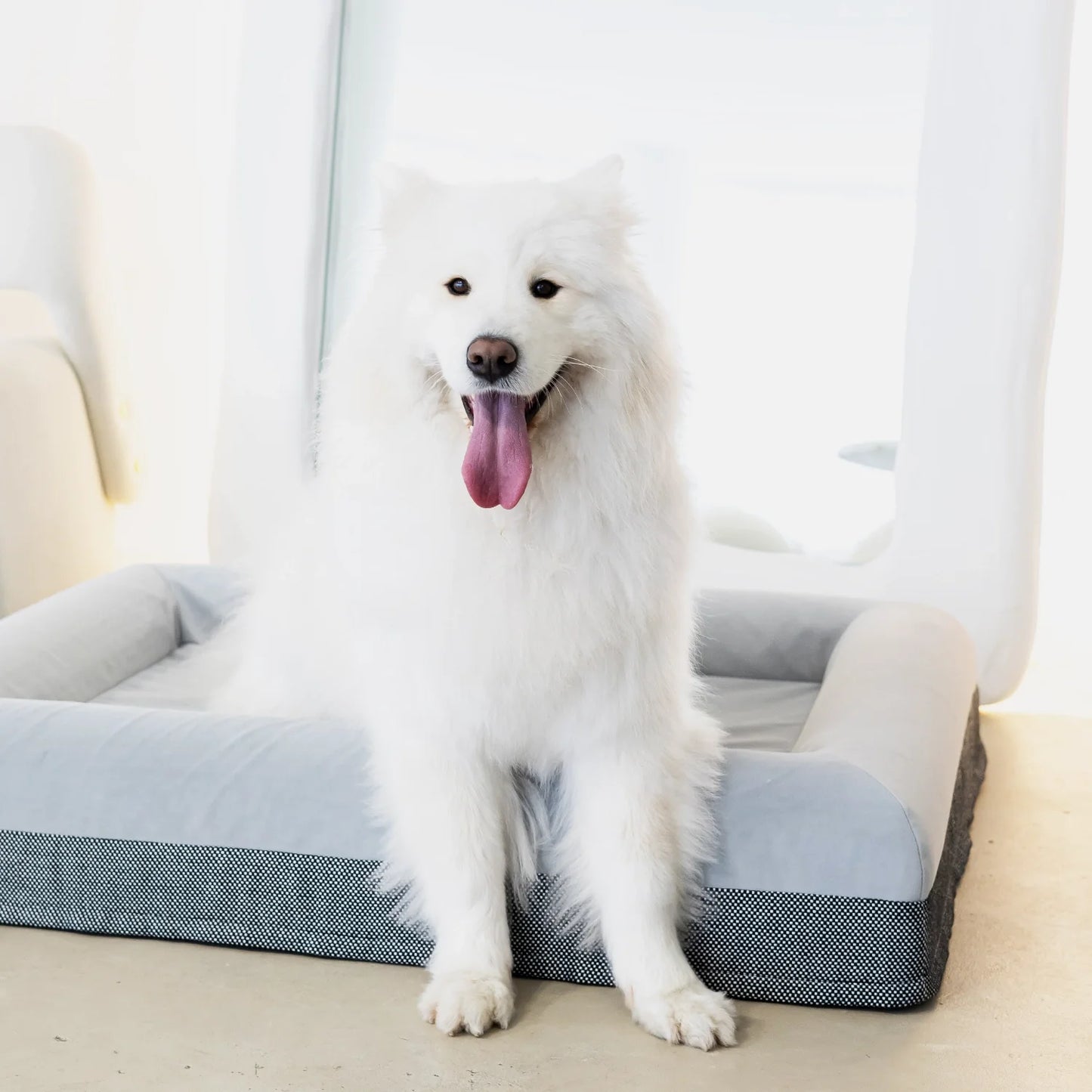 Dog Bed Microsuede & Linen
