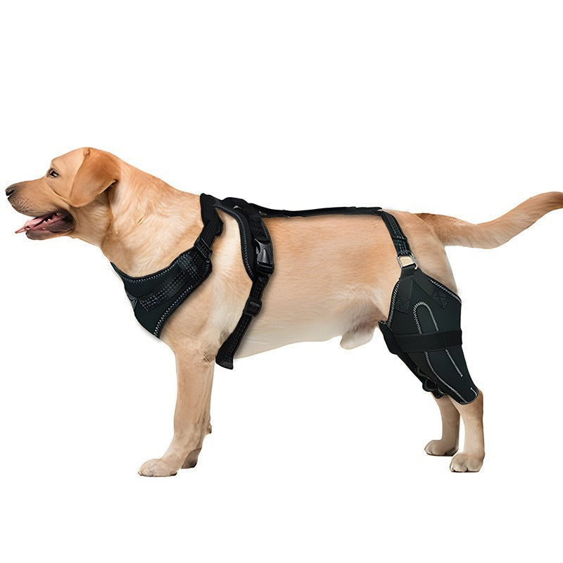 Knee Brace Harness for Dogs-Joint Pain & Mobility support