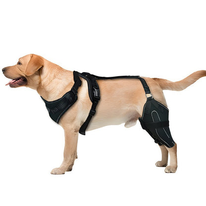 Knee Brace Harness for Dogs-Joint Pain & Mobility support