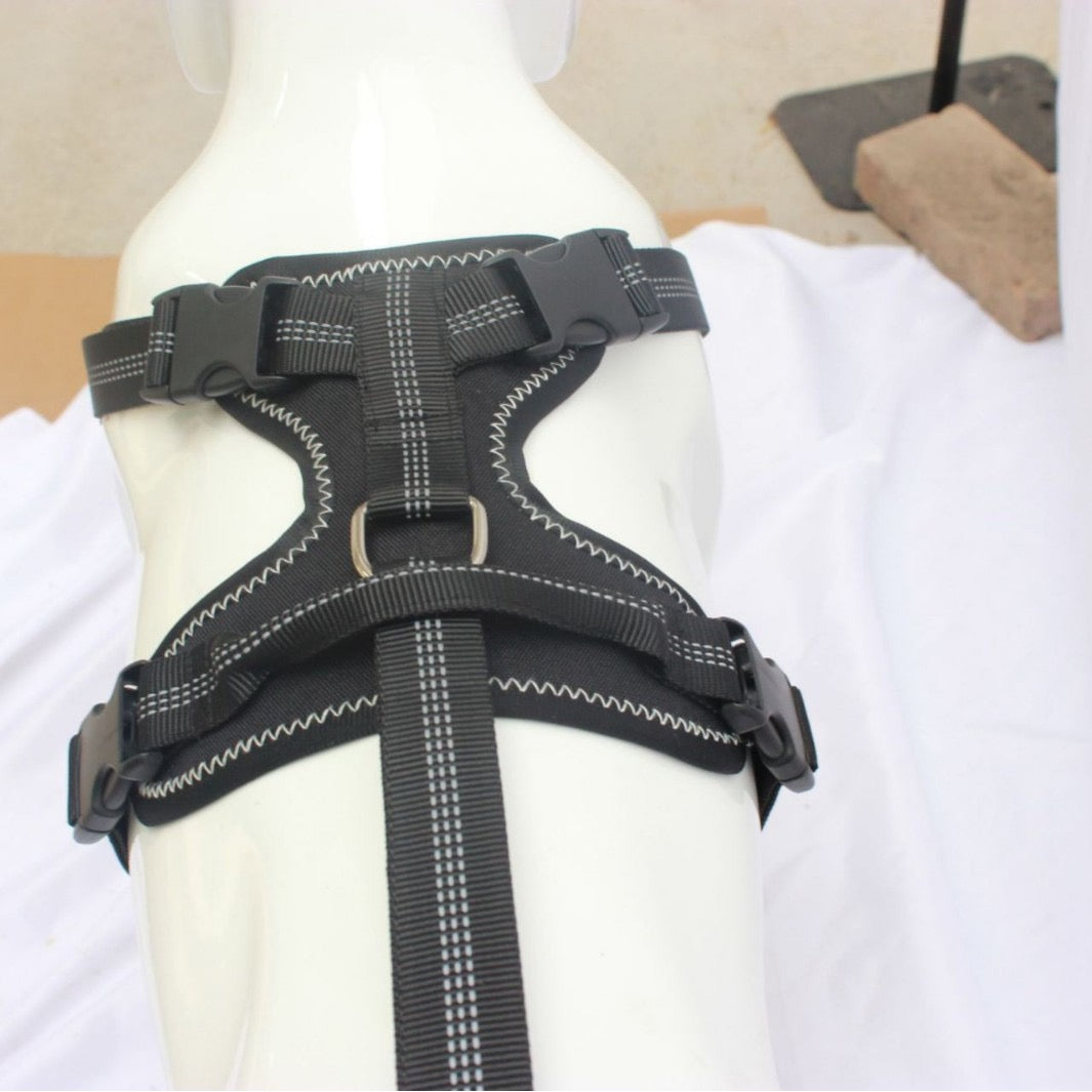 Knee Brace Harness for Dogs-Joint Pain & Mobility support
