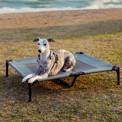Multi-Functional Breathable Cooling Elevated Dog Bed with Canopy - FunnyPawAir