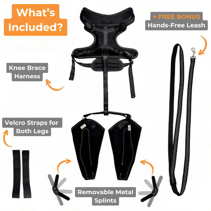 Knee Brace Harness for Dogs-Joint Pain & Mobility support