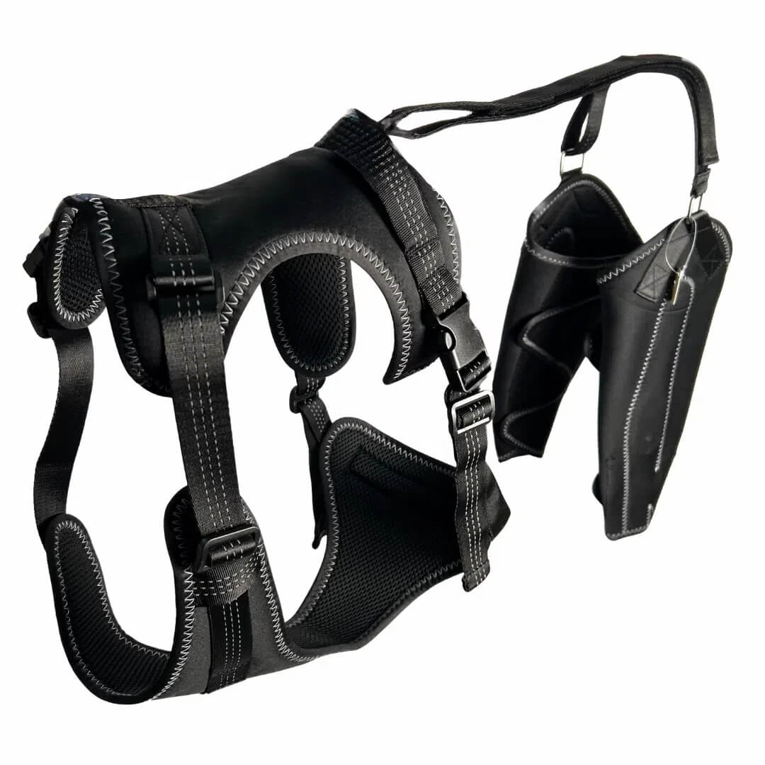 Knee Brace Harness for Dogs-Joint Pain & Mobility support