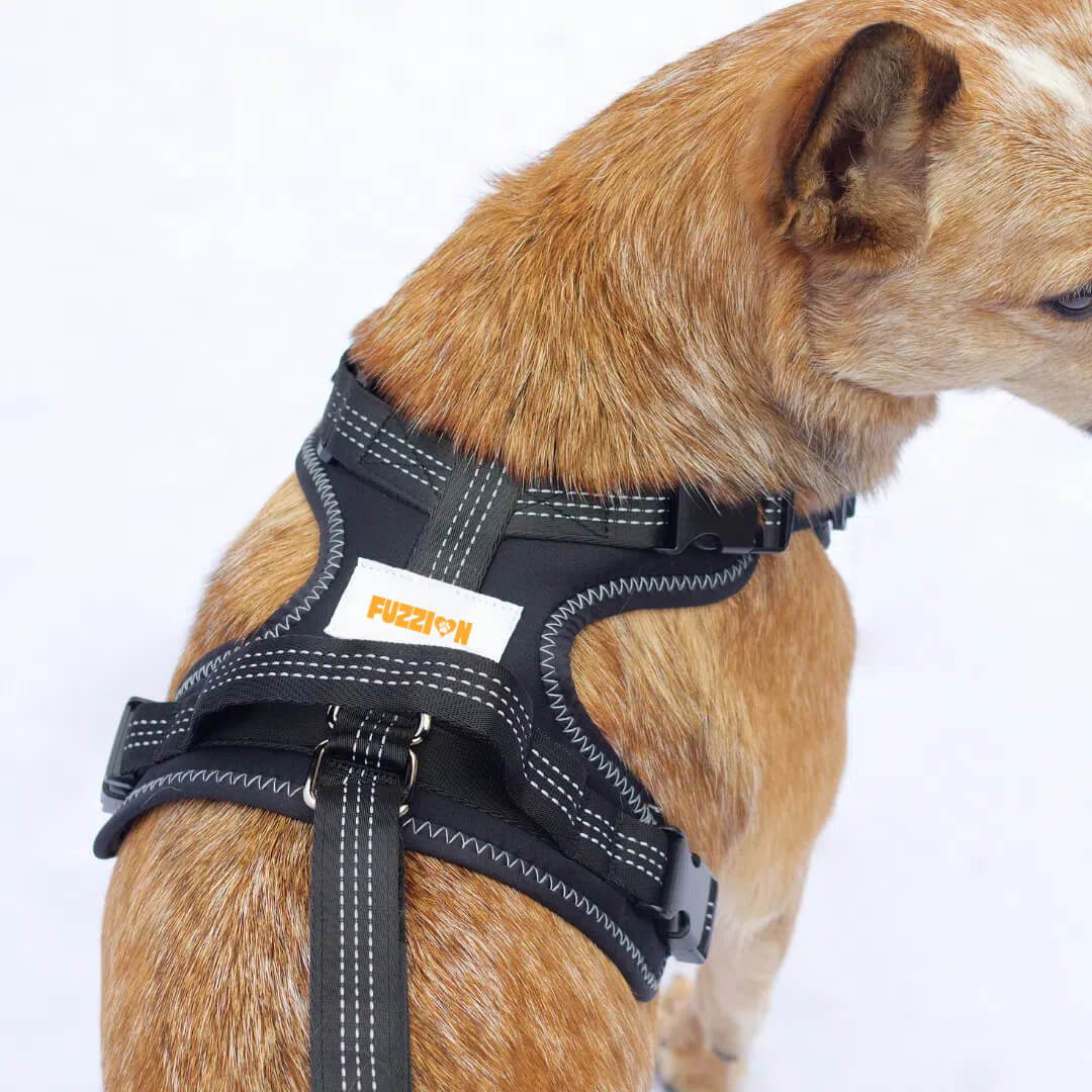 Knee Brace Harness for Dogs-Joint Pain & Mobility support
