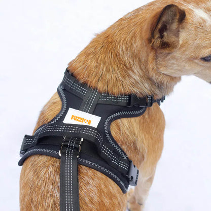 Knee Brace Harness for Dogs-Joint Pain & Mobility support
