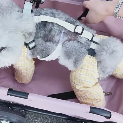 Lightweight Compact Foldable Small Dogs Pet Stroller with Sunshade Canopy