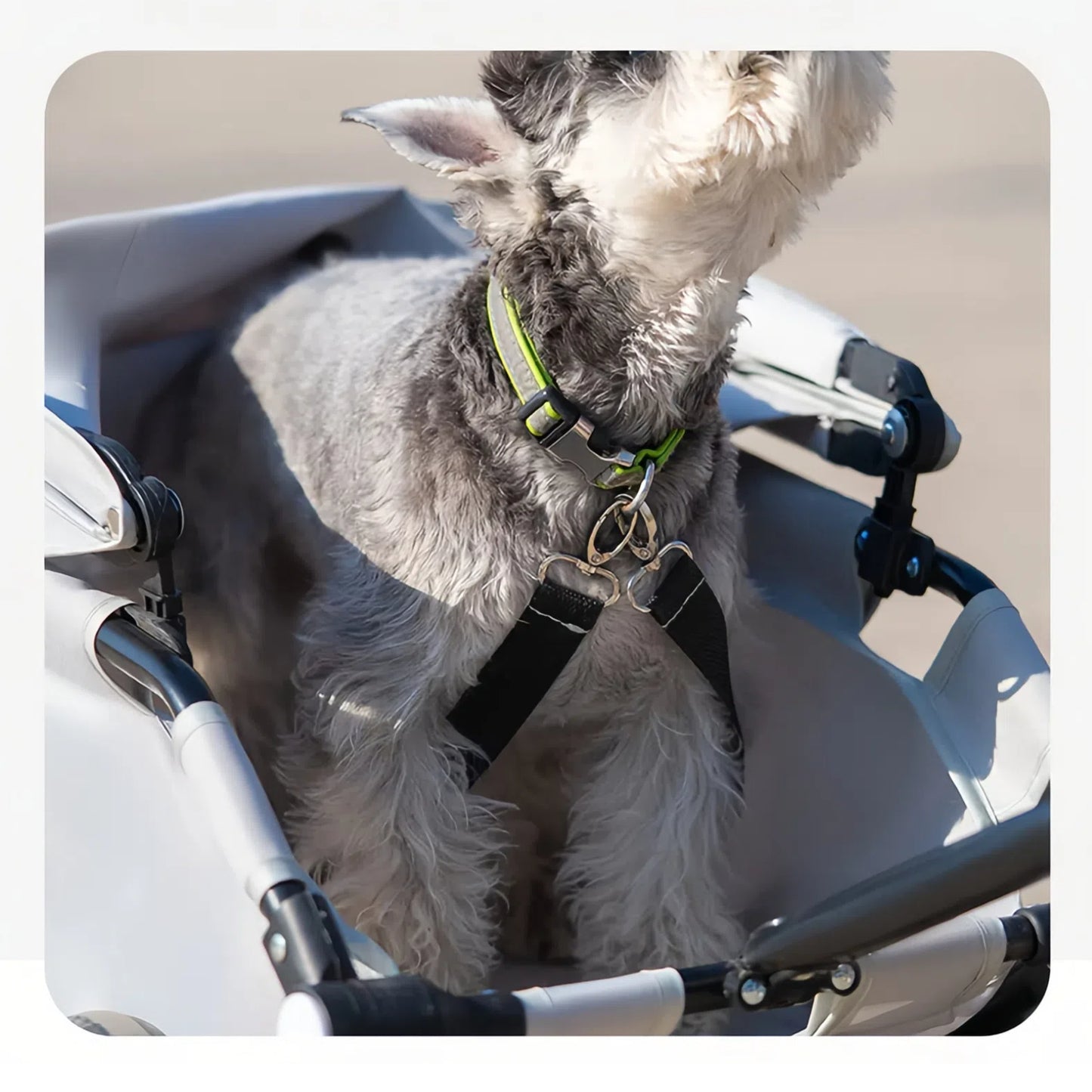 Lightweight Compact Foldable Small and Medium Dogs Pet Stroller with Three-Block Sunshade Canopy